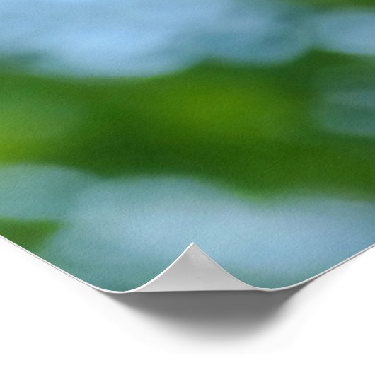 Foto Funny Ostrich Poster (Hoek)