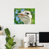 Foto Funny Ostrich Poster (Thuiskantoor)