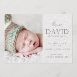 Foto geboorteaankondiging | Bird Announcer Aankondiging