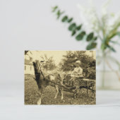  foto-"Geitenkart" — Briefkaart (Staand voorkant)