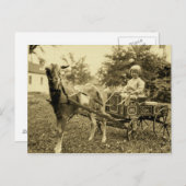  foto-"Geitenkart" — Briefkaart (Voorkant / Achterkant)