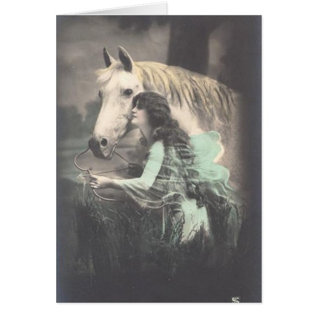 Foto gekleurde  paarden (Voorkant)