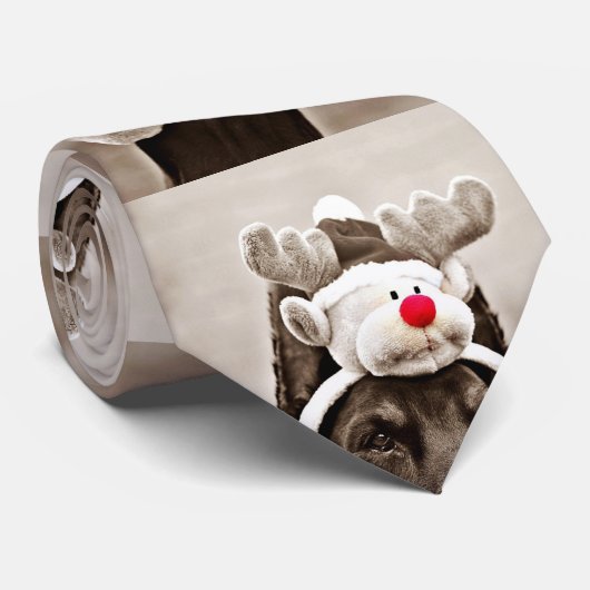 Foto Gepersonaliseerd Stropdas (Opgerold)