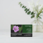 Foto: Geranium Endressii Visitekaartje (Staand voorkant)