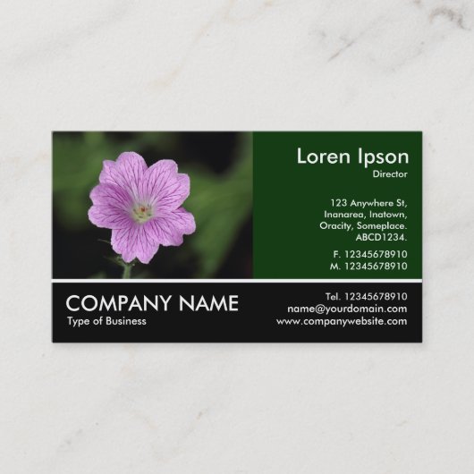 Foto: Geranium Endressii Visitekaartje (Voorkant)