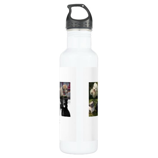 FOTO GESCHENKEN SJABLONEN FAMILIE VRIENDEN HUISDIE WATERFLES  (Achterkant)