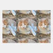 Foto Gift Wrap HAMbyWG Inpakpapier Vel (Voorkant 2)