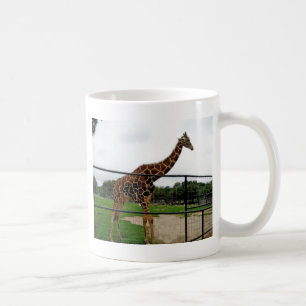Foto Giraffe Animal Koffiemok