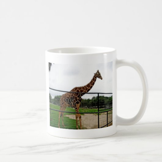 Foto Giraffe Animal Koffiemok (Rechts)
