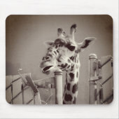 Foto Giraffe -  stijl Muismat (Voorkant)