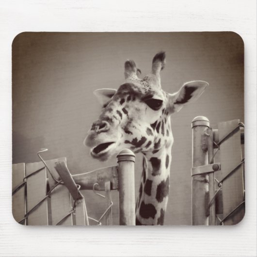 Foto Giraffe -  stijl Muismat (Voorkant)