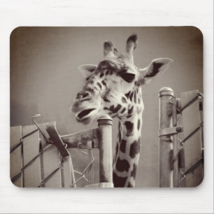 Foto Giraffe - stijl Muismat
