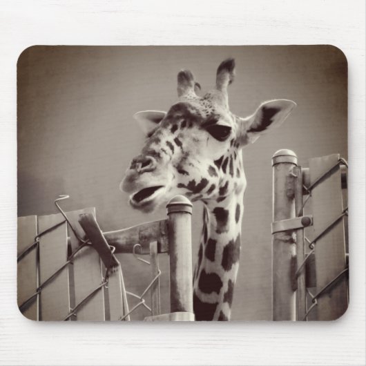 Foto Giraffe - stijl Muismat (Voorkant)