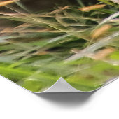 Foto Giraffe Wildlife Animal Poster (Hoek)