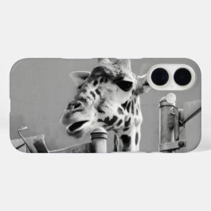 Foto Giraffe - zwart-wit iPhone 16 Hoesje