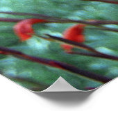 Foto Gladioli Flowers Poster (Hoek)