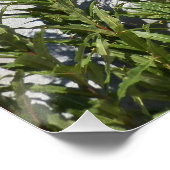 Foto Glossy van Rainier en Wildflower Perfect Poster (Hoek)