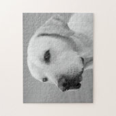 Foto Golden Labrador Retriever | BW Legpuzzel (Verticaal)