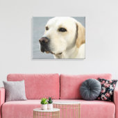 Foto Golden Labrador Retriever Canvas Afdruk (Insitu (Woonkamer))