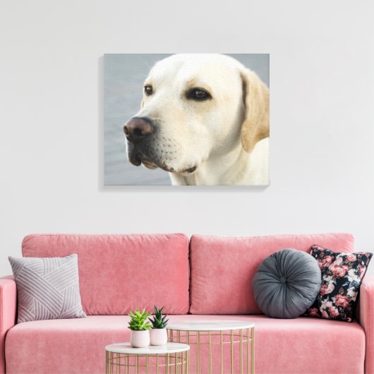 Foto Golden Labrador Retriever Canvas Afdruk (Insitu (Woonkamer))