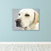 Foto Golden Labrador Retriever Canvas Afdruk (Insitu (Houten vloer))