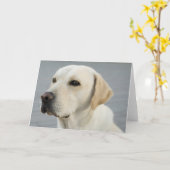 Foto Golden Labrador Retriever Kaart (Gele Bloem)