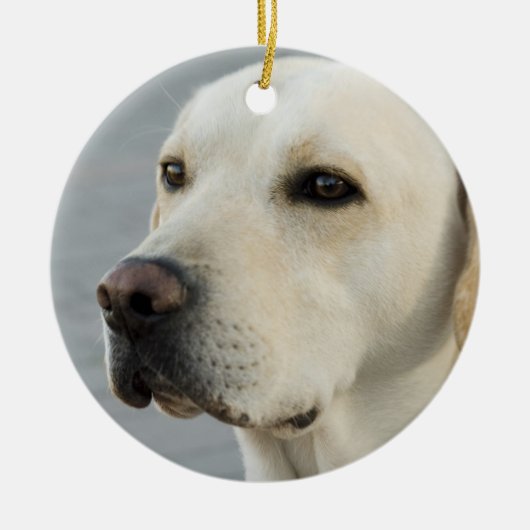 Foto Golden Labrador Retriever Keramisch Ornament (Voorkant)