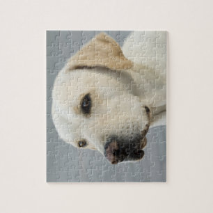 Foto Golden Labrador Retriever Legpuzzel