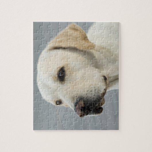 Foto Golden Labrador Retriever Legpuzzel (Verticaal)
