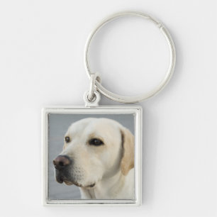 Foto Golden Labrador Retriever Sleutelhanger