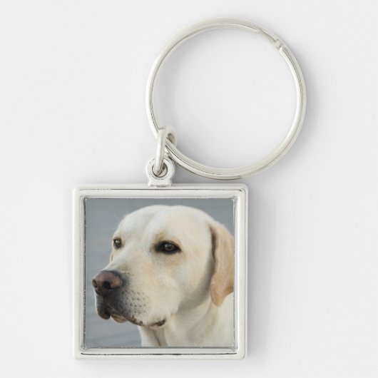 Foto Golden Labrador Retriever Sleutelhanger (Voorkant)