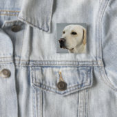 Foto Golden Labrador Retriever Vierkante Button 5,1 Cm (In situ)