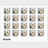 Foto Golden Labrador Retriever Vierkante Sticker (Vel)