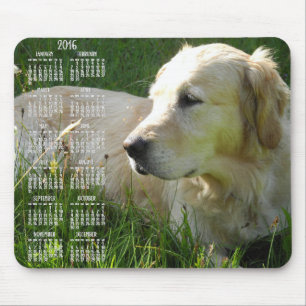 Foto Golden Retriever Calendar 2016 Muismatten