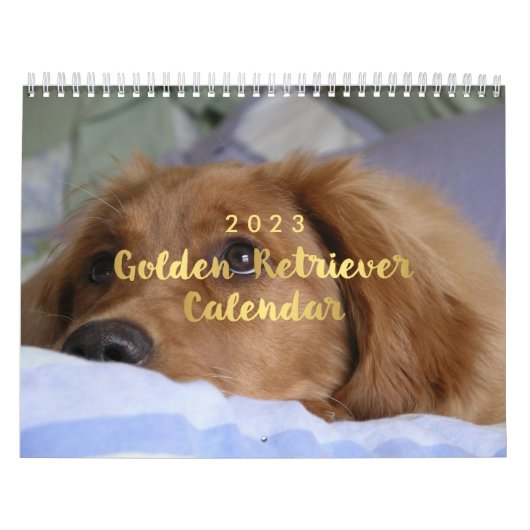 Foto Golden Retriever Calendar 2023 Kalender (Hoes)