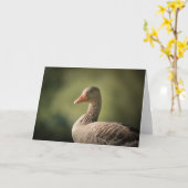 Foto Goose Natuur Kaart (Gele Bloem)