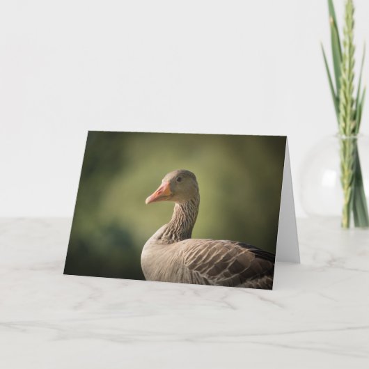 Foto Goose Natuur Kaart (Voorkant)
