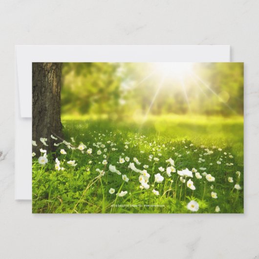 Foto Green Spring Script Country Post Wedding Kaart (Achterkant)