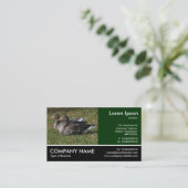 Foto: Greylag Geese Visitekaartje (Staand voorkant)