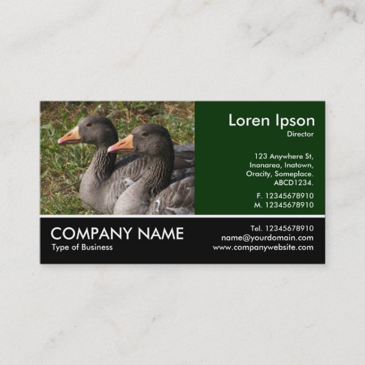 Foto: Greylag Geese Visitekaartje (Voorkant)