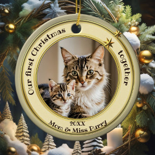 Foto groen goud eerste kerst samen kat keramisch ornament