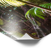 foto groene regenwoud Australië Afdruk (Hoek)