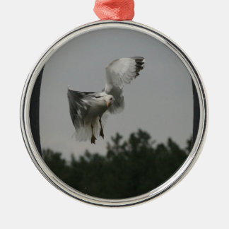 Foto groot ovaal Lijst toevoegen (zwart) Metalen Ornament