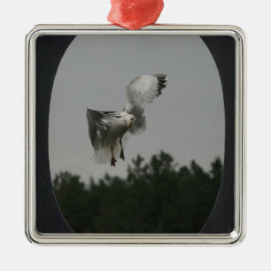 Foto groot ovaal Lijst toevoegen (zwart) Metalen Ornament