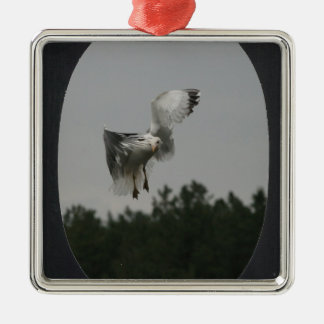 Foto groot ovaal Lijst toevoegen (zwart) Metalen Ornament