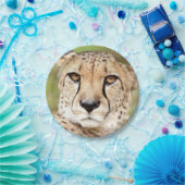 Foto guepard, cat. papier bord (Feest)