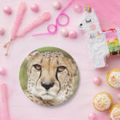 Foto guepard, cat. papier bord (Feest)