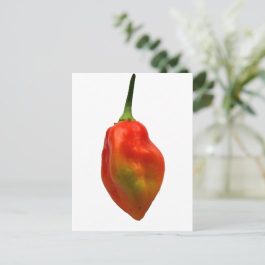 Foto Habanero Single Pepper Briefkaart (Staand voorkant)