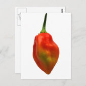 Foto Habanero Single Pepper Briefkaart (Voorkant / Achterkant)