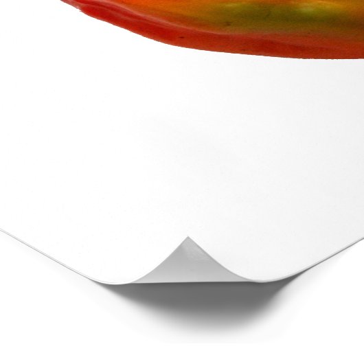 Foto Habanero Single Pepper Poster (Hoek)